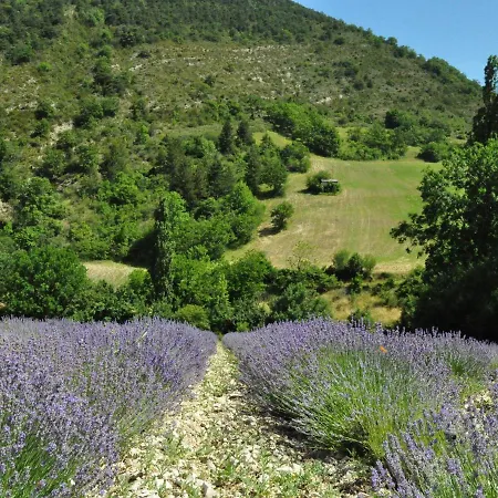 Vibrant In Malauc Ne With Private Garden * Malaucène